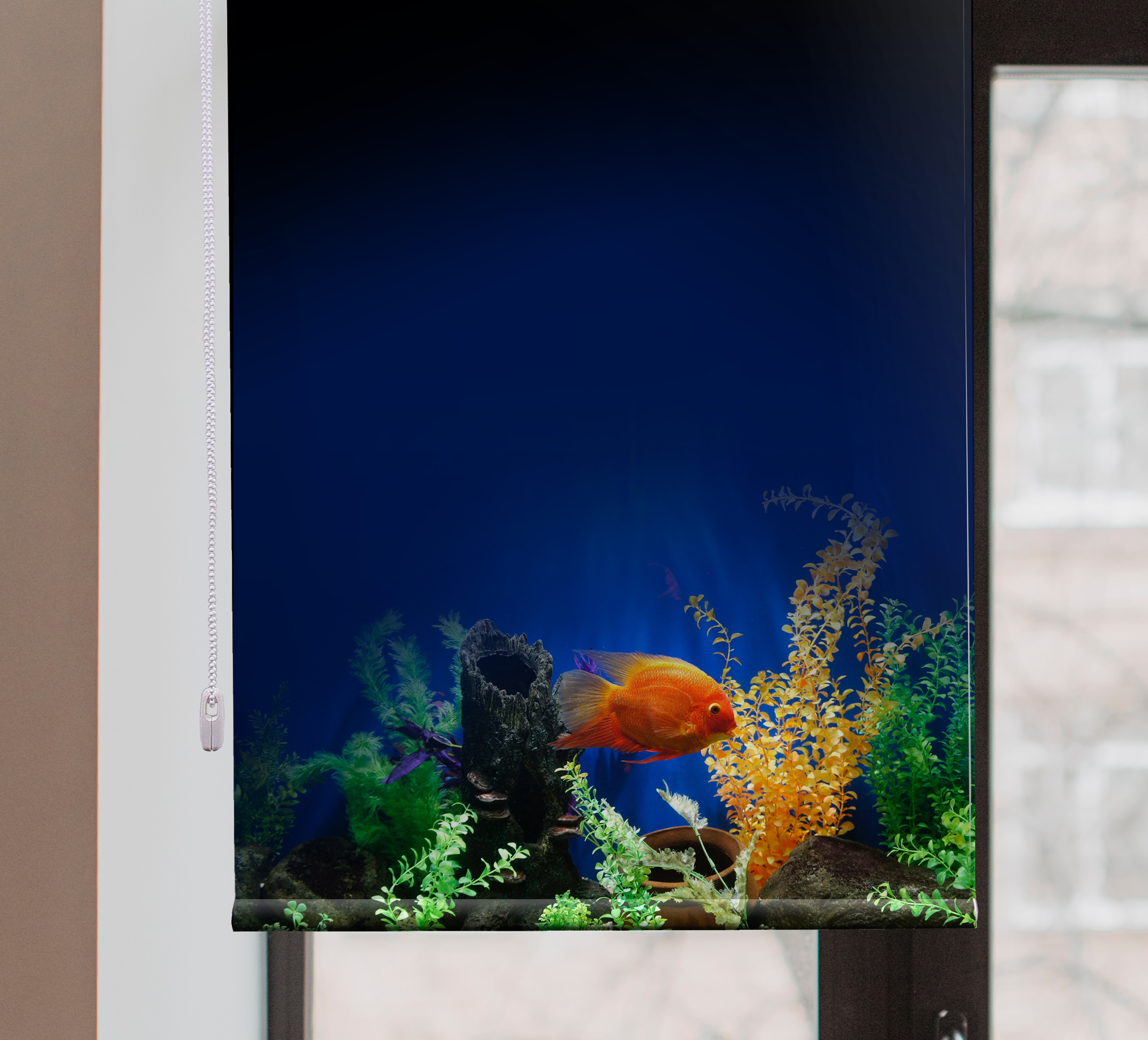 Tenstickers Dieren rolgordijnen Aquarium leven