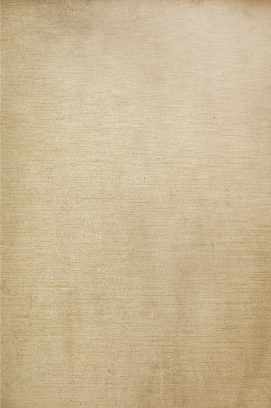 Beige tones Rustic roller blind - TenStickers