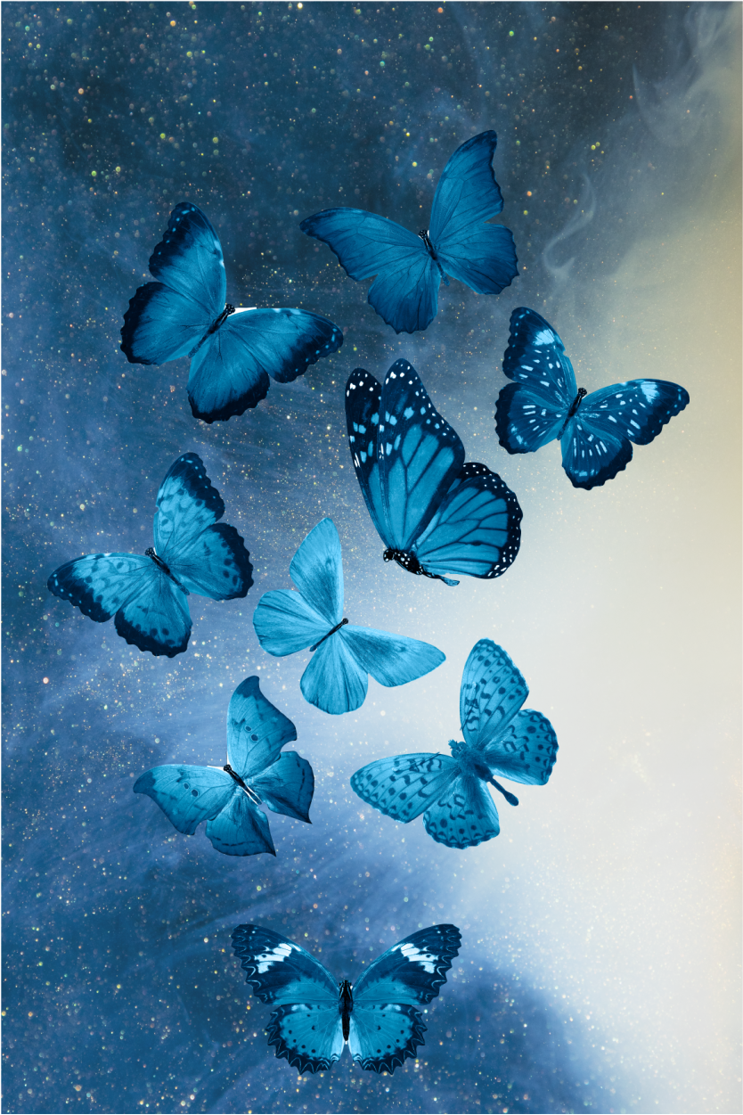 Sticker mural - Couple de papillons
