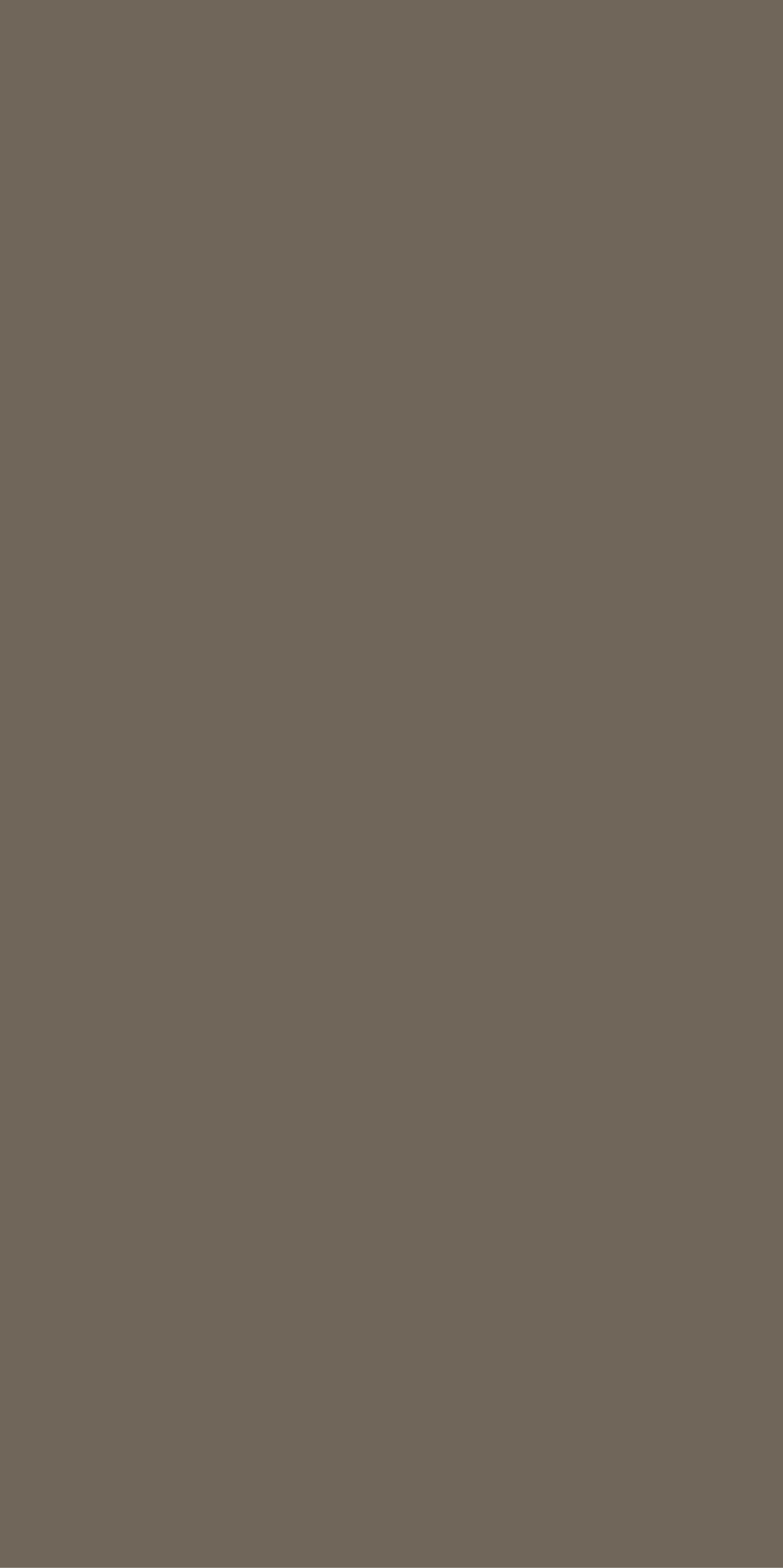 Stores élégants Couleur unie marron apaisante - TenStickers