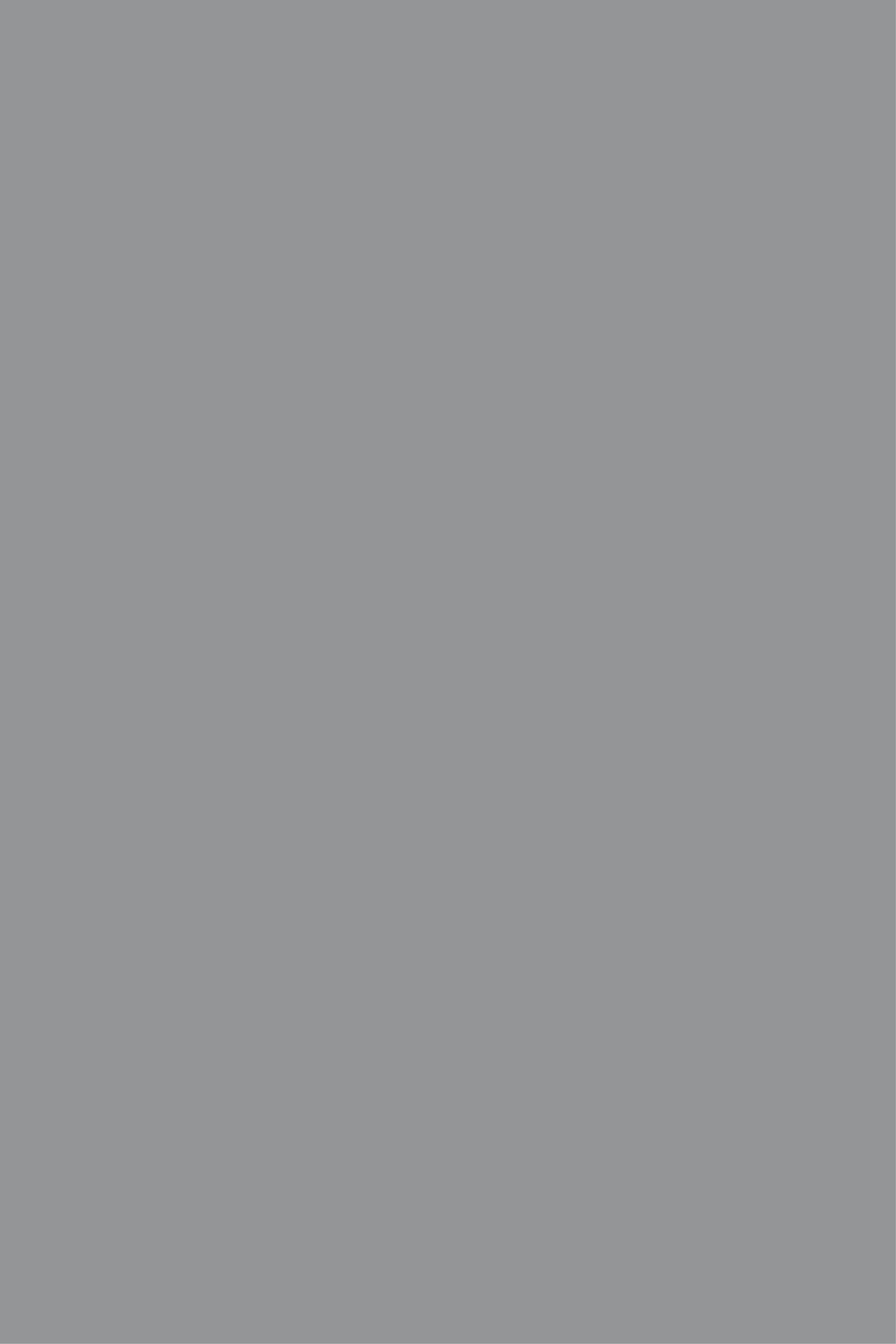 Elegant Grey Shade opaque roller blind - TenStickers