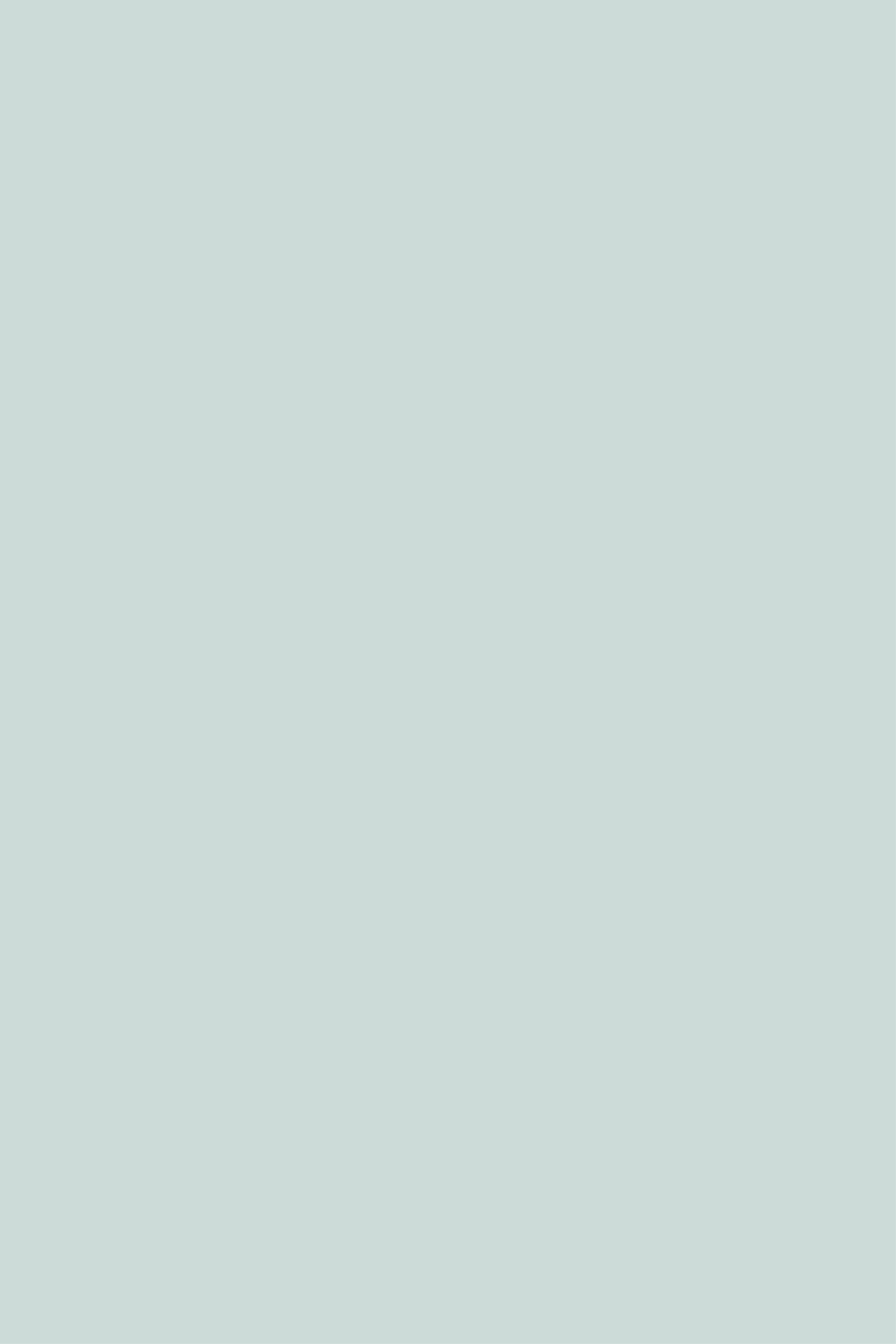 Soft grey opaque roller blind - TenStickers