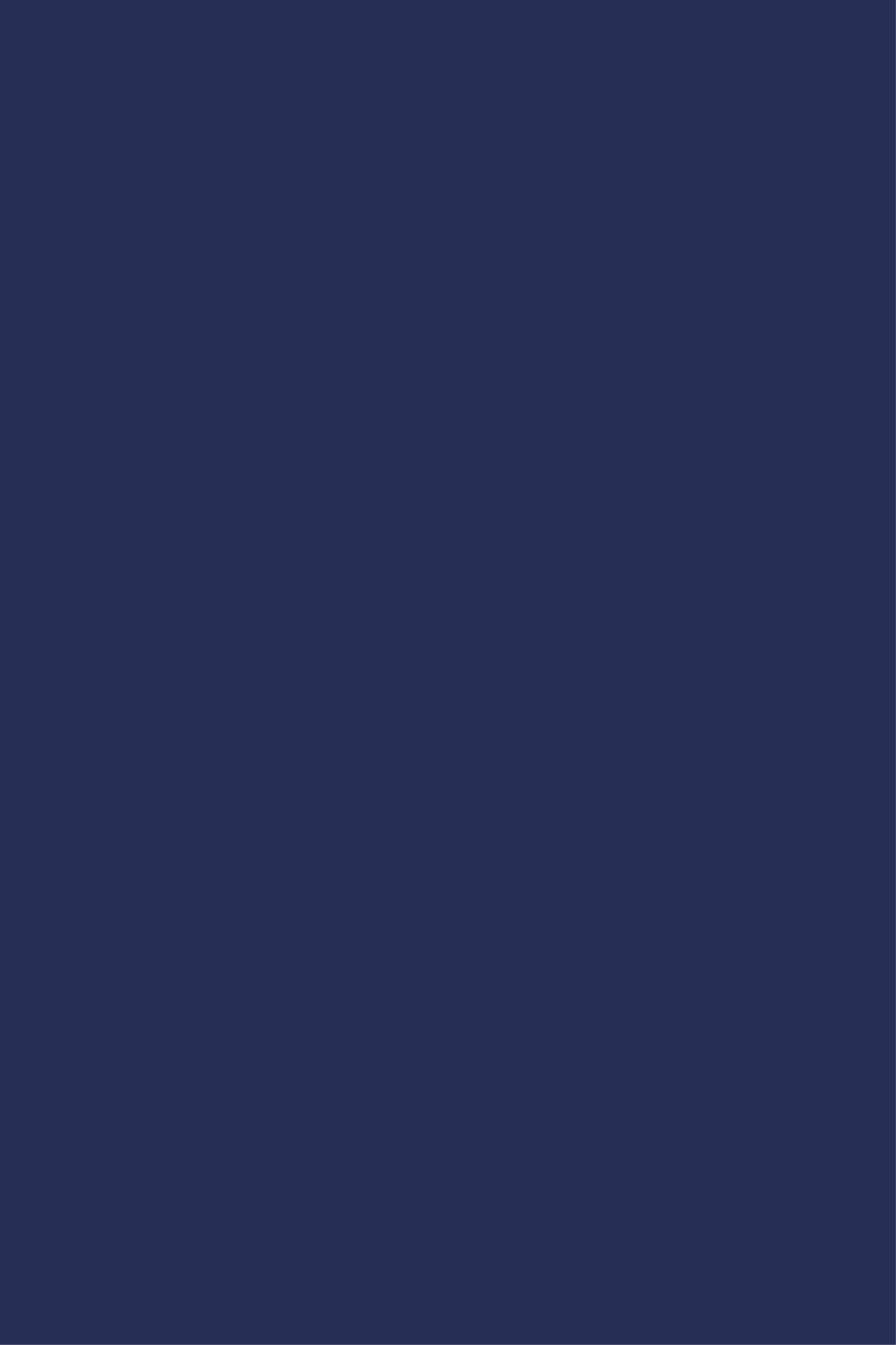Deep Navy Shade opaque roller blind - TenStickers
