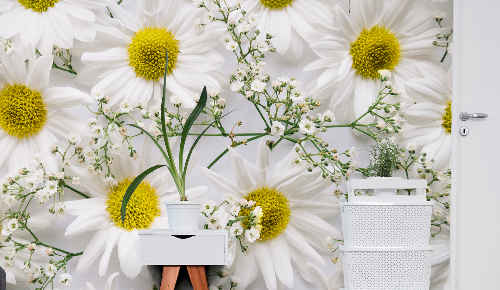 Fotobehang bloemen in wit