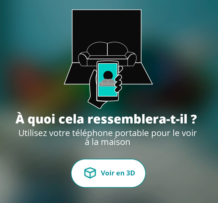 Voir en 3D