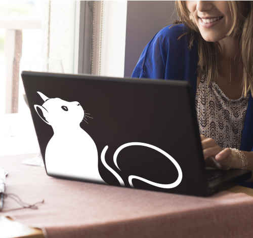 Laptop Stickers