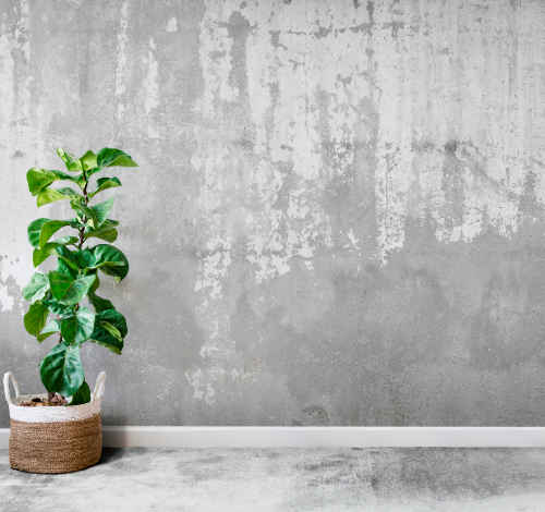 Fototapety - Tenstickers