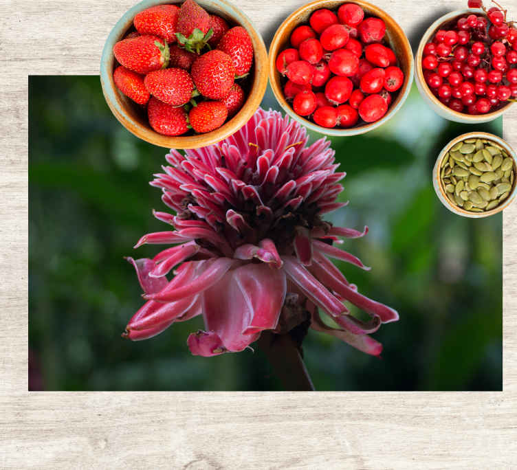 Individuais de mesa originais arranjo floral tropical - TenStickers