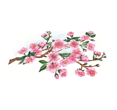 Kvetoucí strom originální prostírání - TenStickers