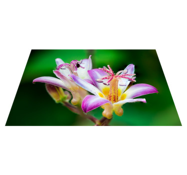 Lila och gula blommor original bordstabletter - Tenstickers