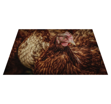 σοβαρές καφετιές αρχικές πινακίδες - TenStickers