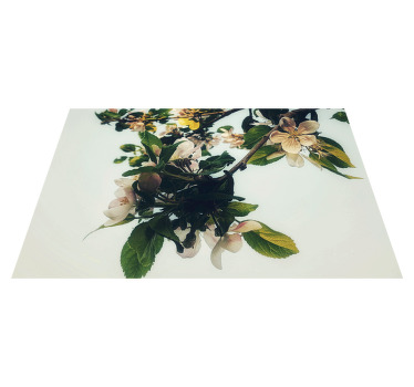 Yellowed vintage style design modern placemats - TenStickers