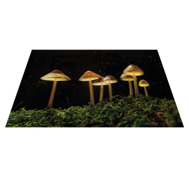 Set de table moderne Les champignons sauvages brillent - TenStickers