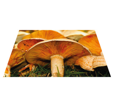 Orange pores wild mushroom textured placemats - TenStickers