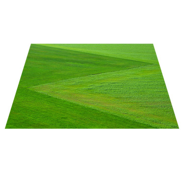 Individuais de mesa originais Estética da grama verde - TenStickers