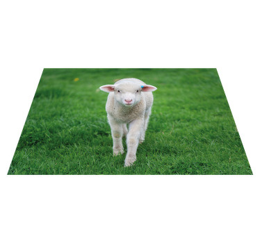 Little lamb kids placemats - TenStickers