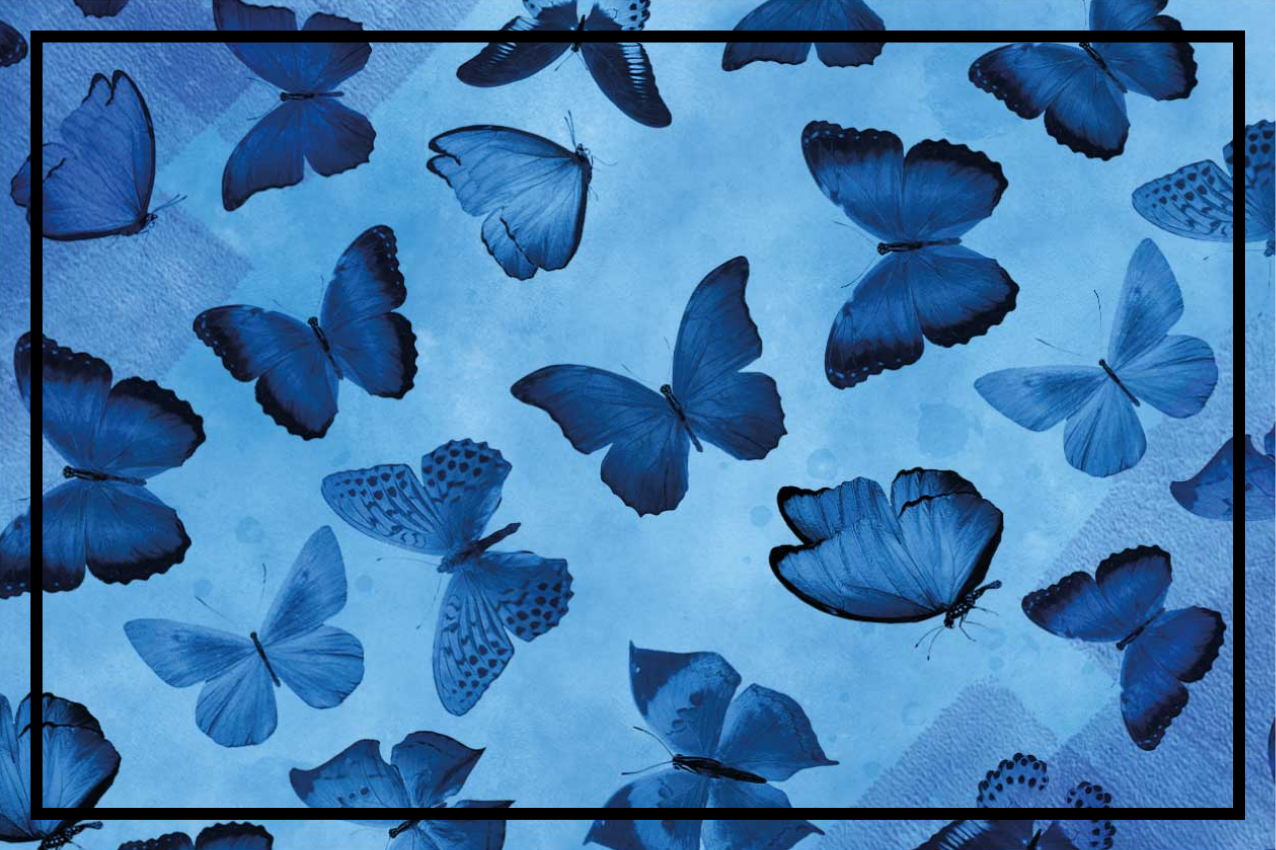 Blue Butterfly Personalised Dinner Table Placemat