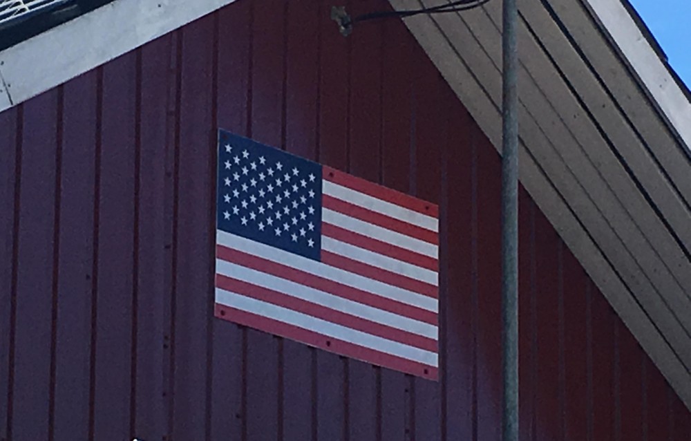 Sticker - Autocollant De Voiture Élément De Rangement Luna 40cm X 30cm