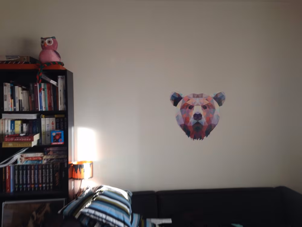 Review Image