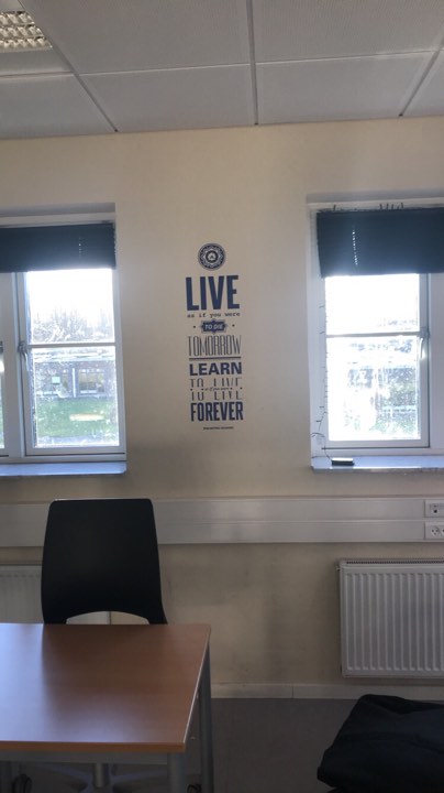 { { product.metaDescription|striptags }}