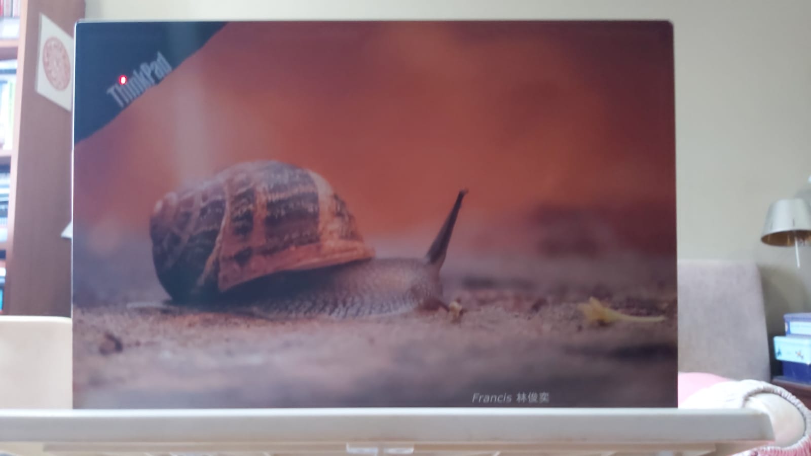 { { product.metaDescription|striptags }}