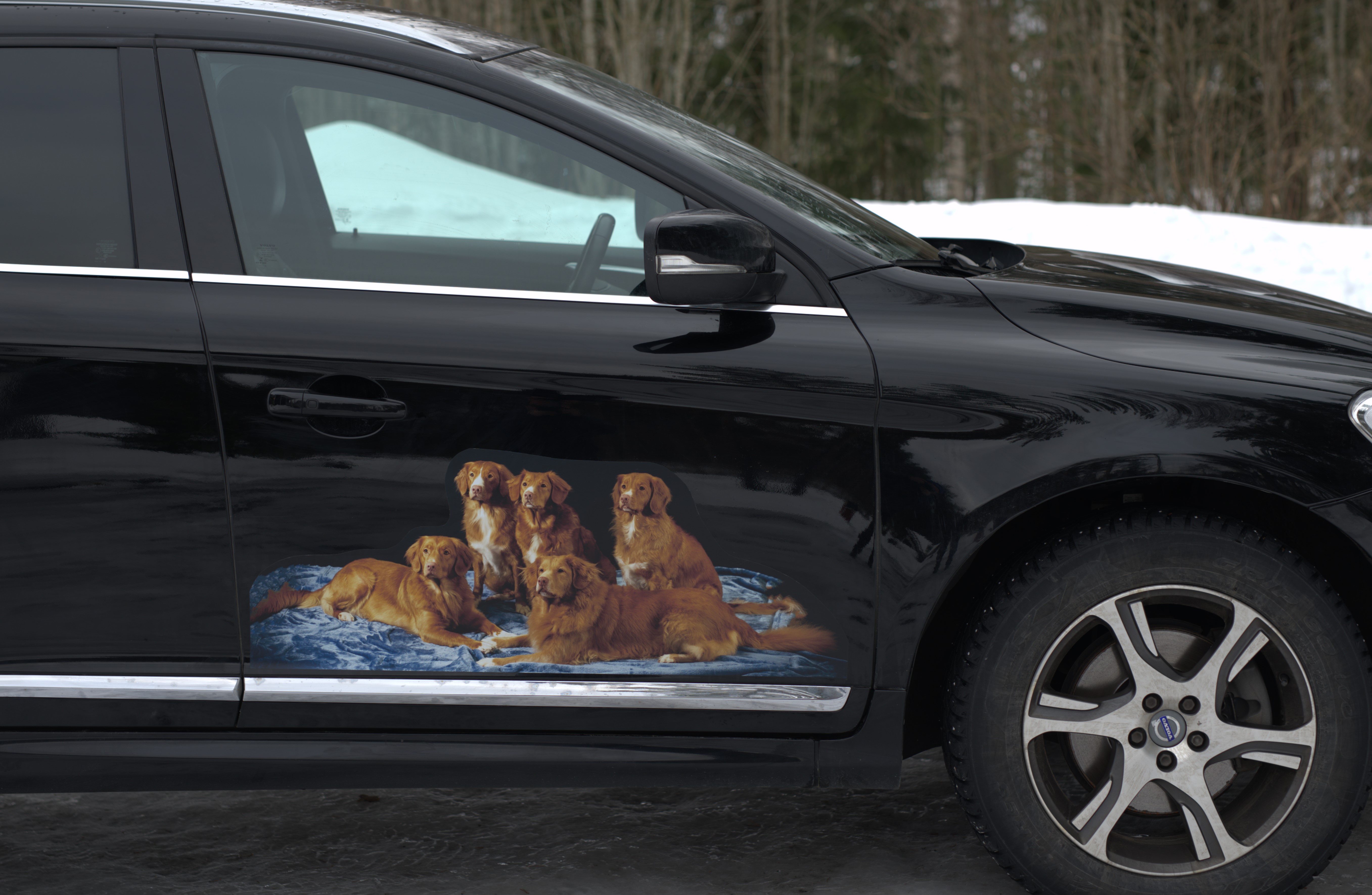 { { product.metaDescription|striptags }}