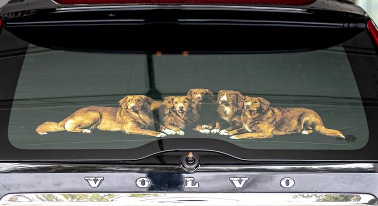 { { product.metaDescription|striptags }}