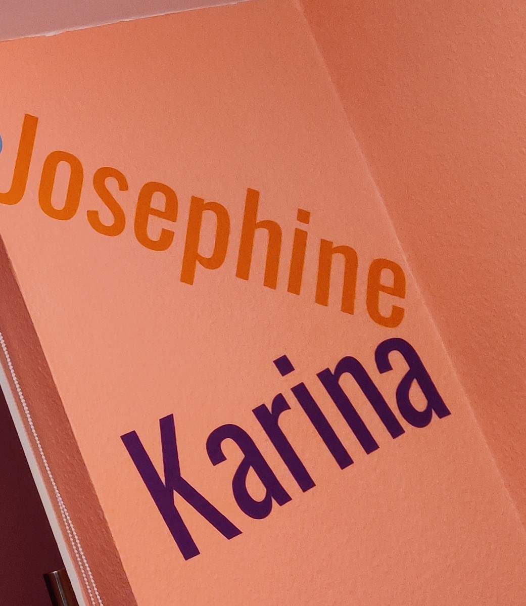 { { product.metaDescription|striptags }}