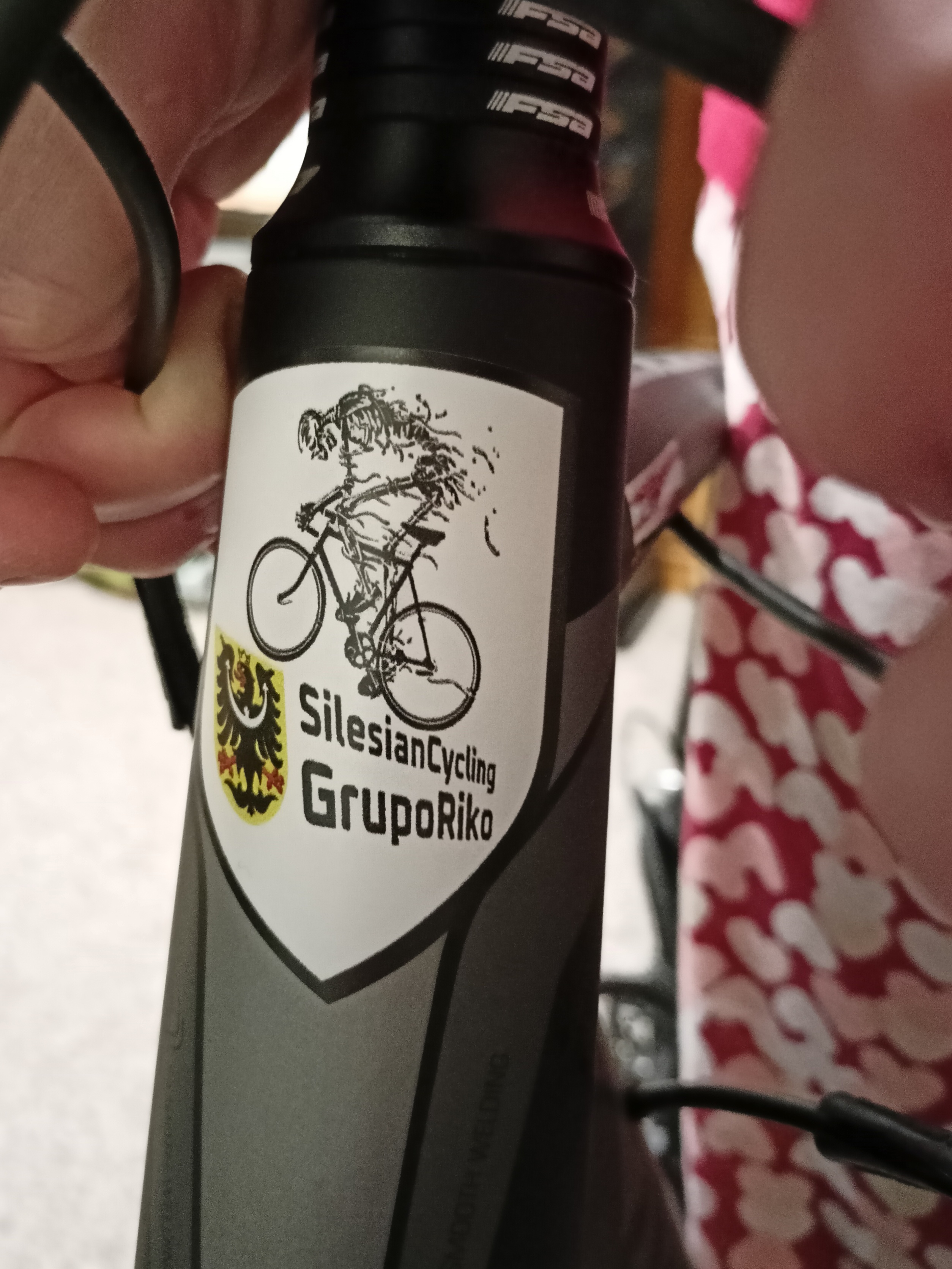 { { product.metaDescription|striptags }}