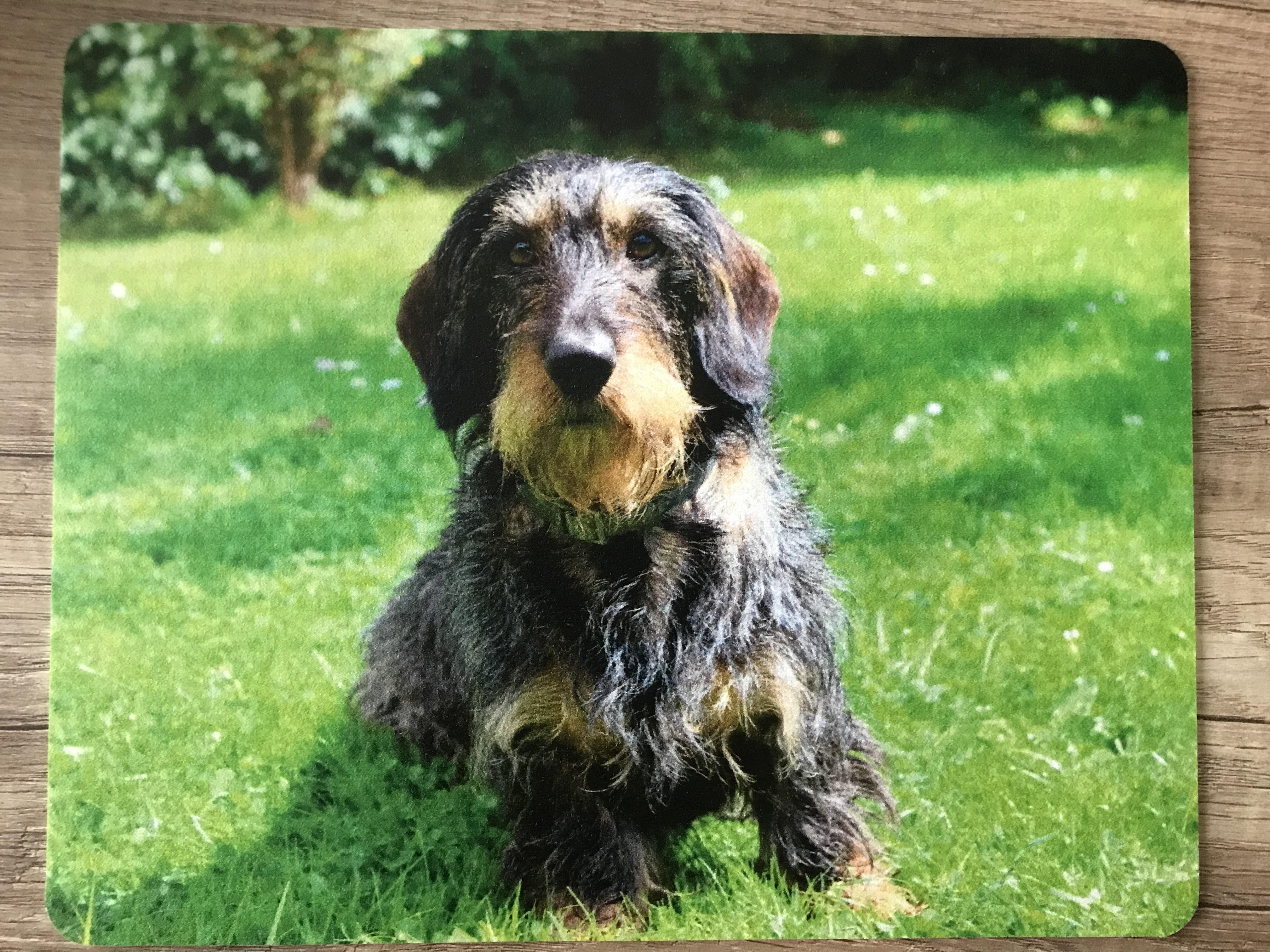 { { product.metaDescription|striptags }}