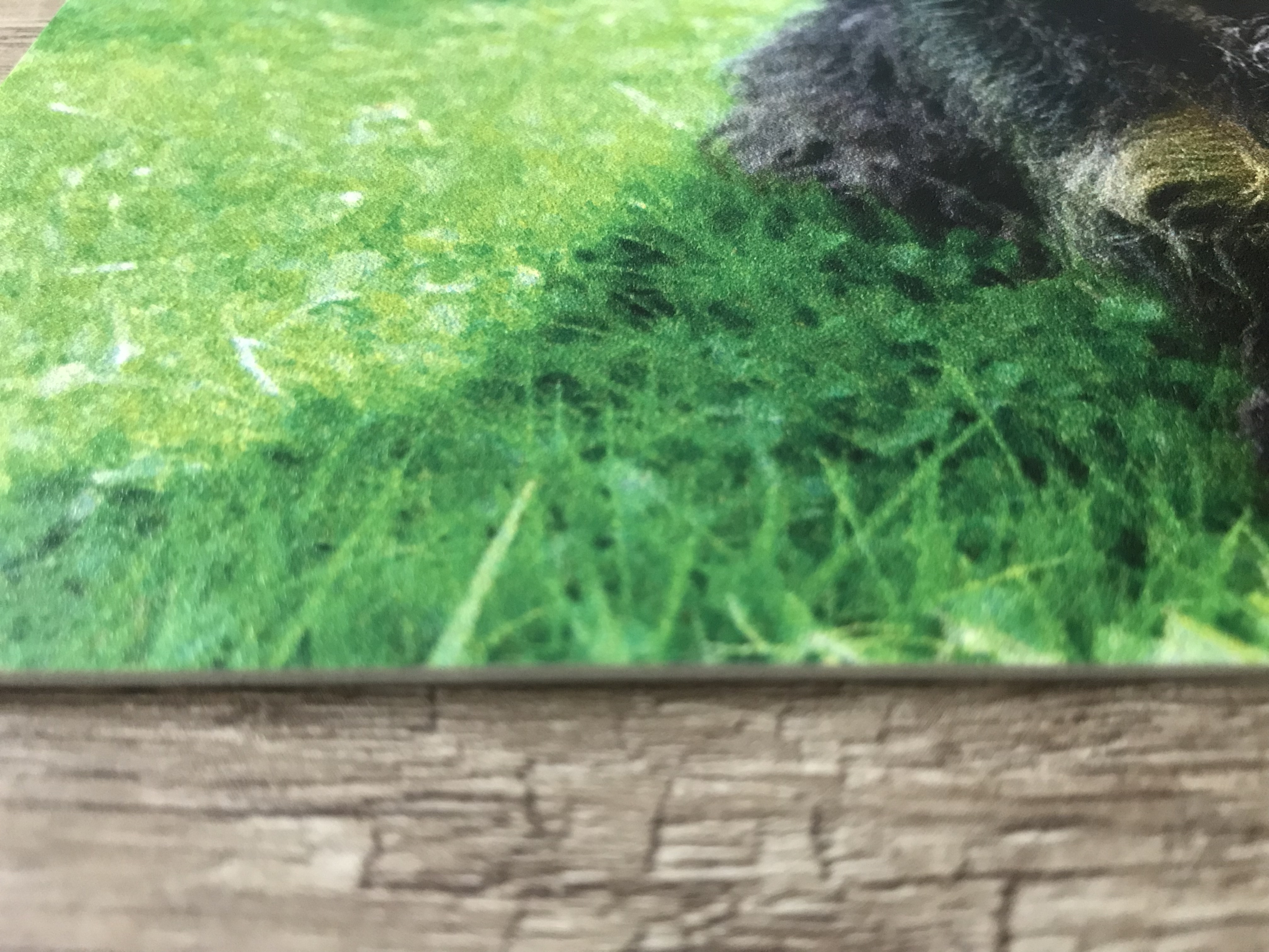 { { product.metaDescription|striptags }}