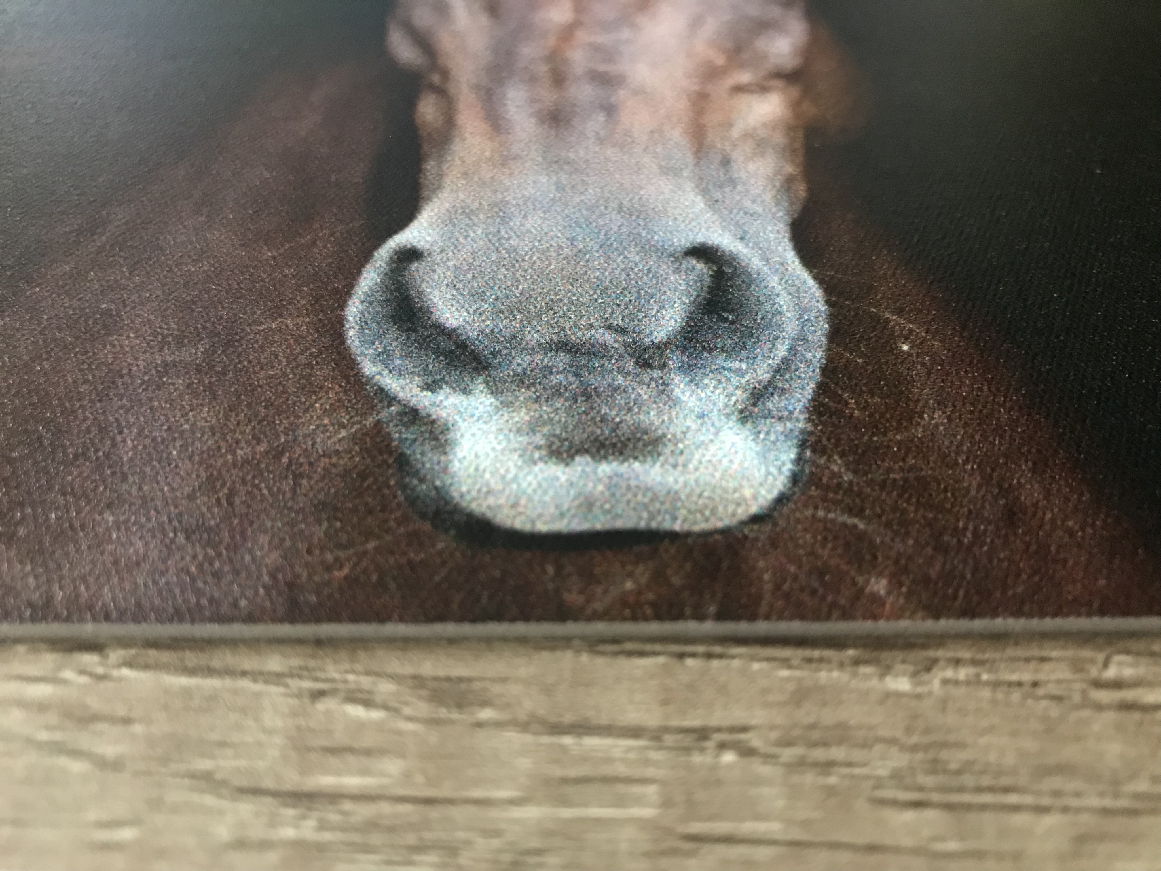 { { product.metaDescription|striptags }}