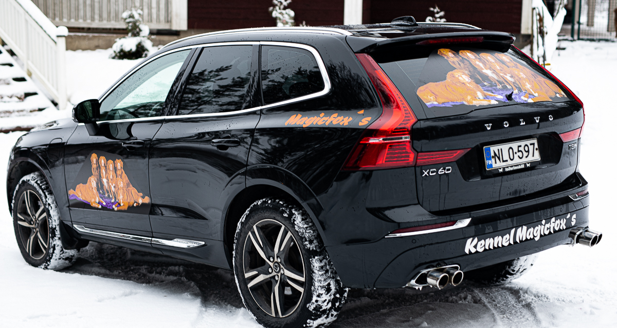 { { product.metaDescription|striptags }}