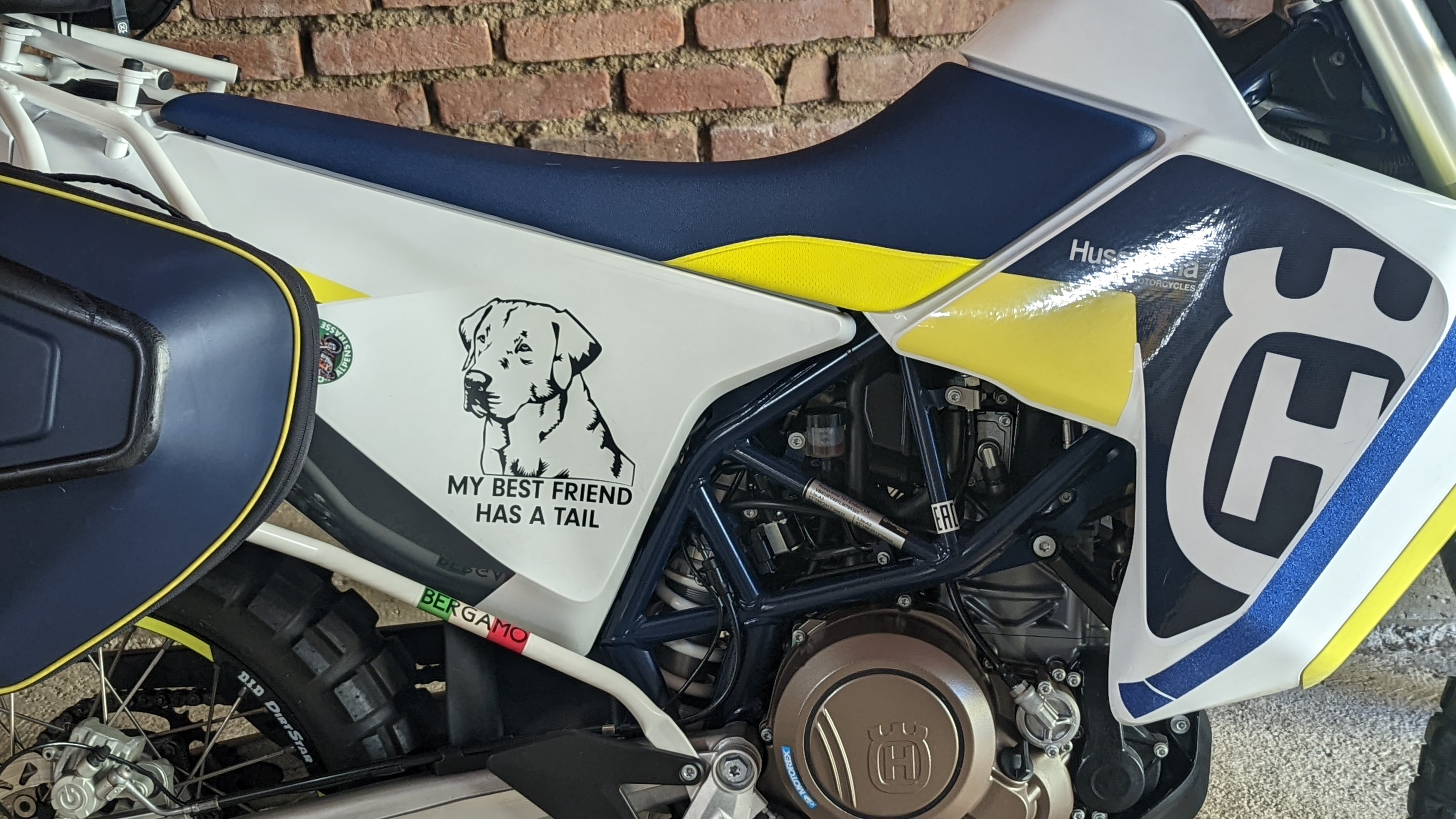 Labrador Retriever Decal I Love My Lab Adesivi In Vinile - Foto 10