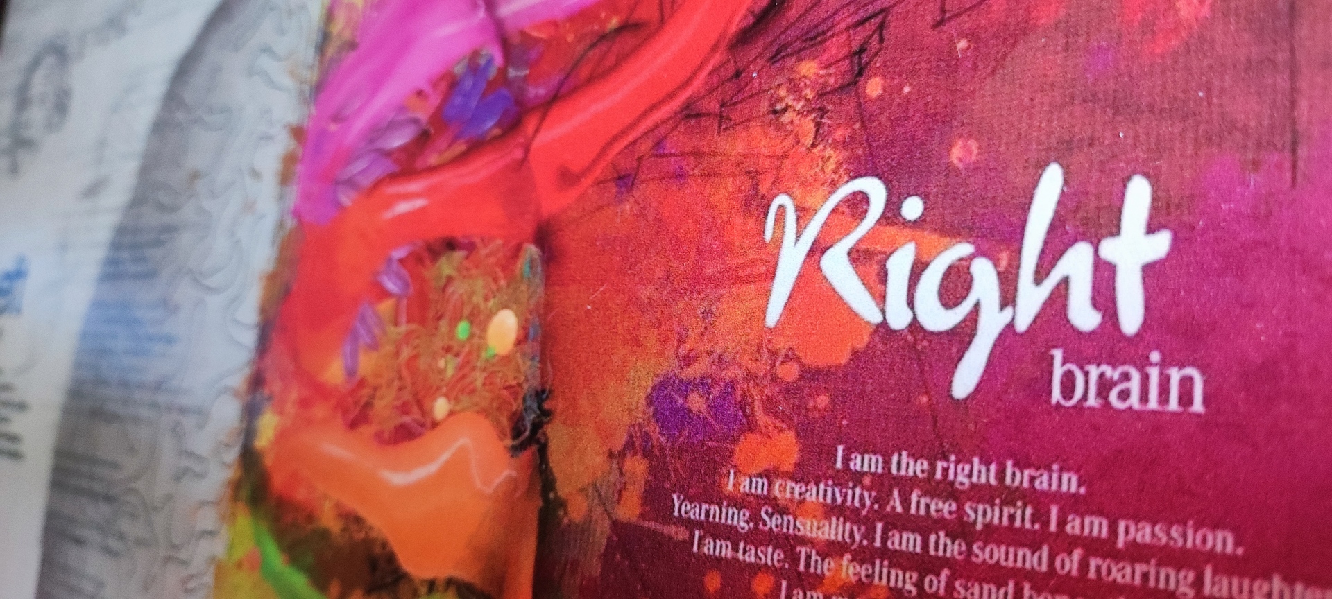 { { product.metaDescription|striptags }}