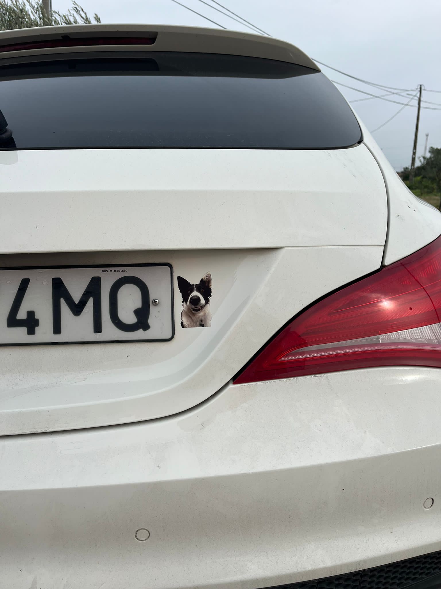 { { product.metaDescription|striptags }}