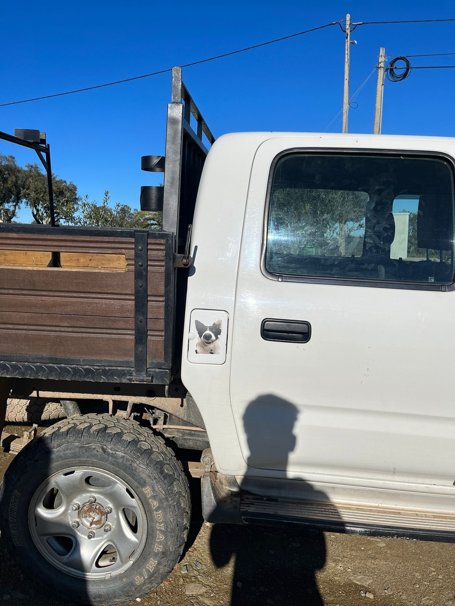 { { product.metaDescription|striptags }}