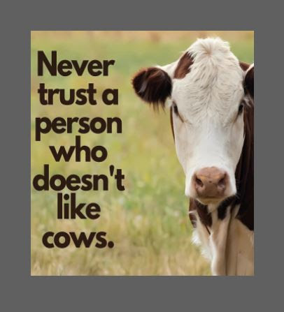 { { product.metaDescription|striptags }}