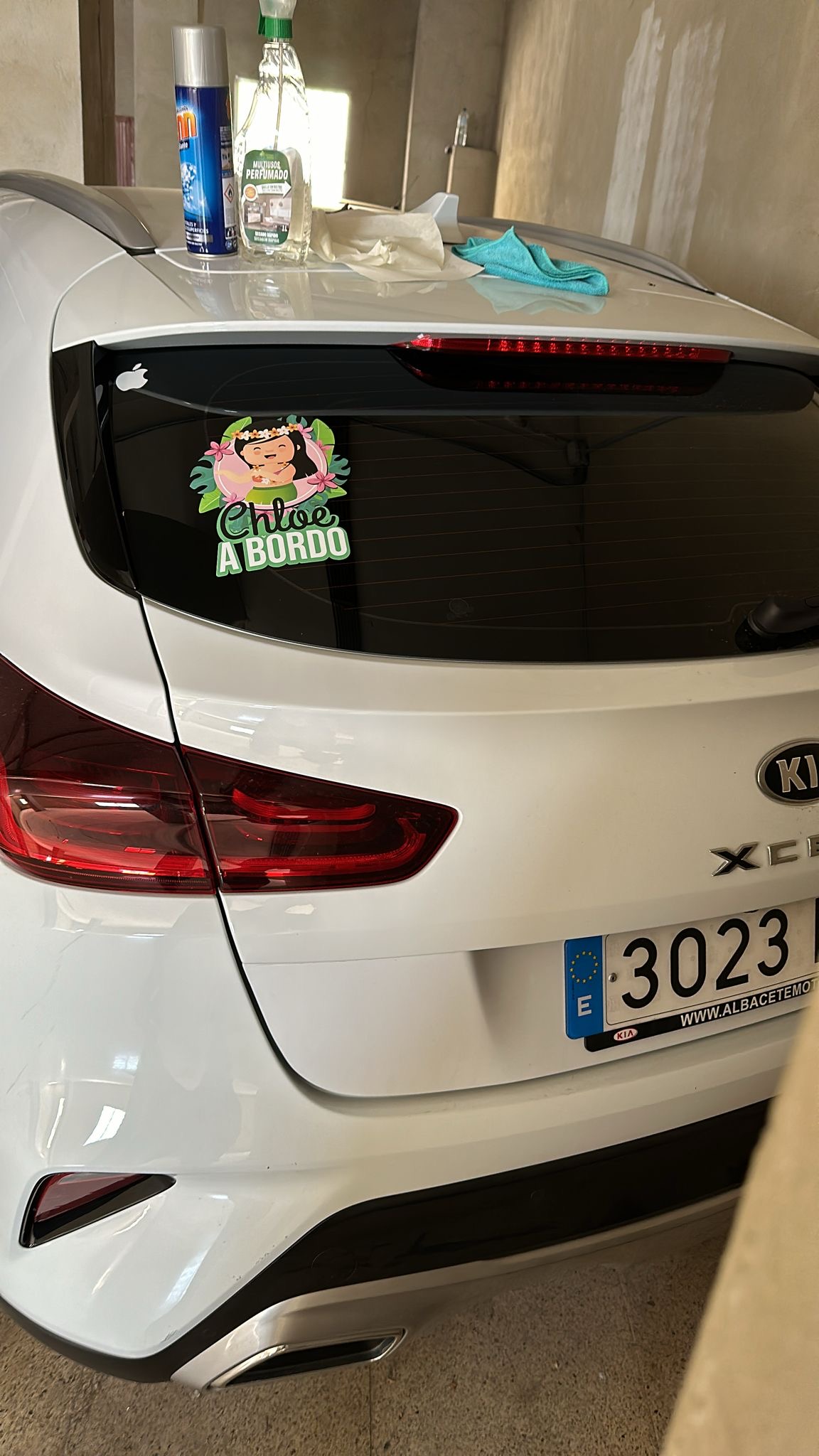 Adesivo Auto 'Tourette Du Fotze!' In Argento, Pellicola Resistente UV E Autolavaggio, 210x100 Mm - 4