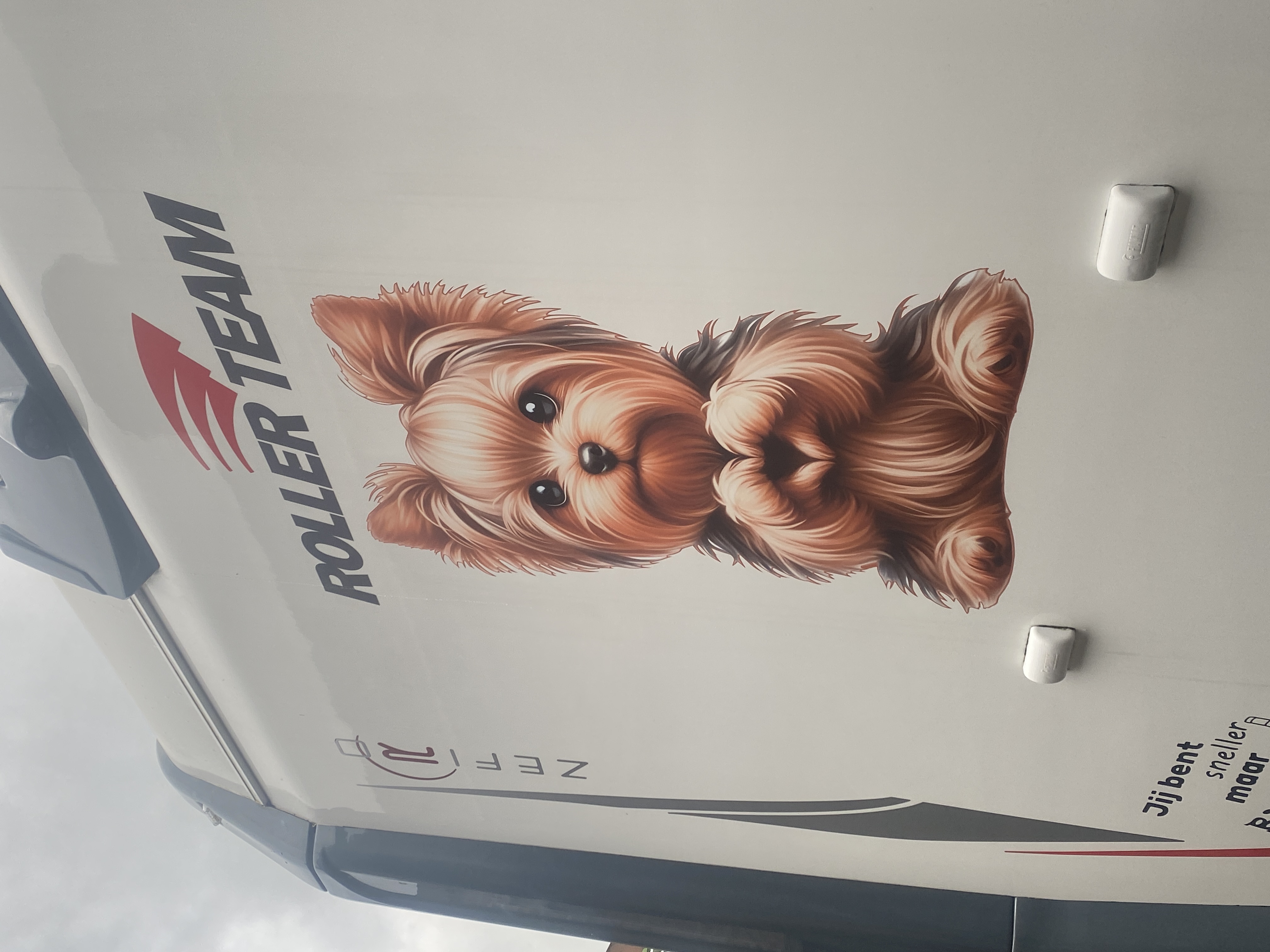 { { product.metaDescription|striptags }}