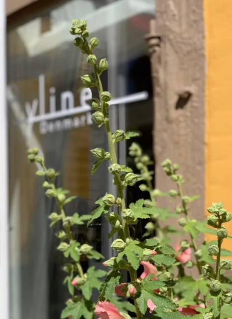 { { product.metaDescription|striptags }}