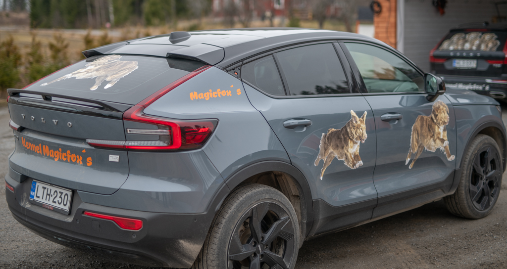 { { product.metaDescription|striptags }}