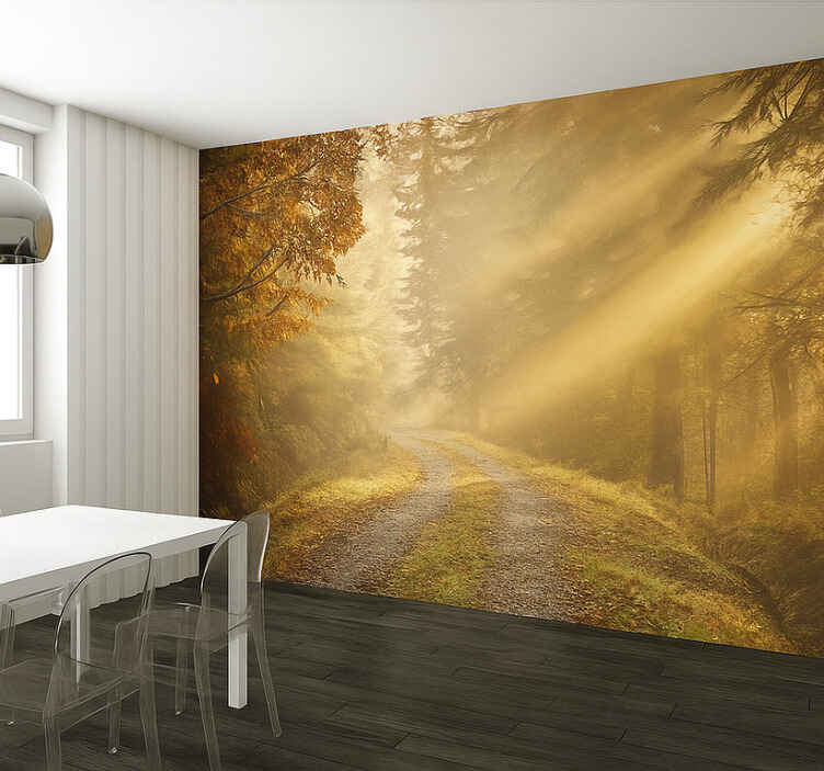 Mural de selva bosque húmedo con luz solar - TenVinilo