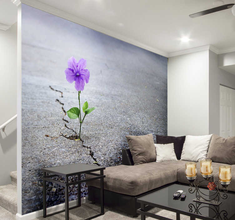 Flower Wallpaper Wall Murals Turn Your Home into a Garden Oasis