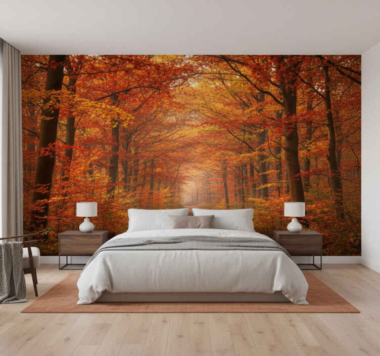 Forest wall mural autumn tree path - TenStickers