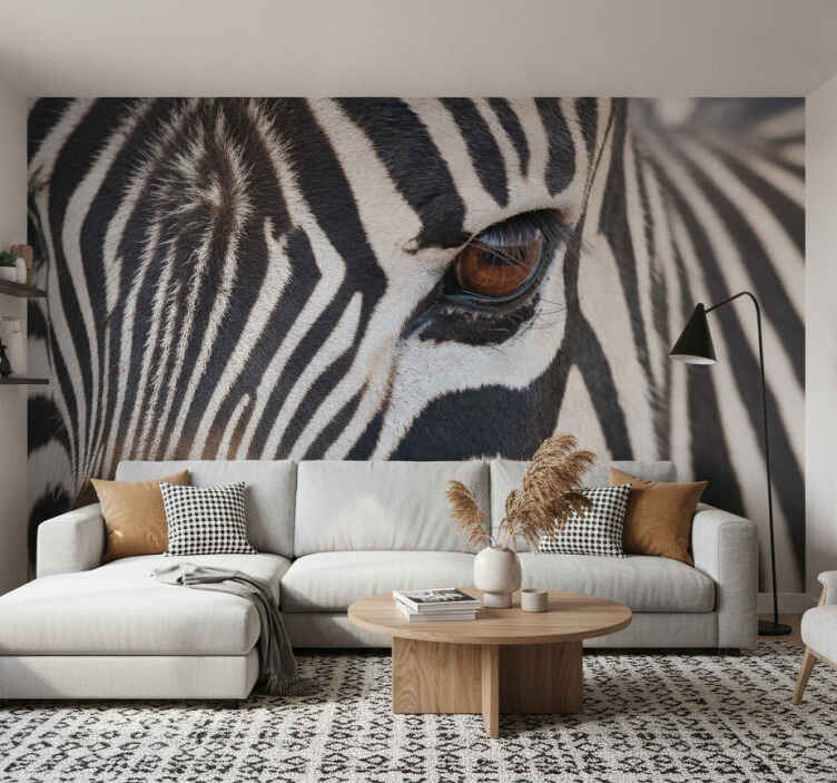 Fototapete afrikanisch zebraauge - TenStickers