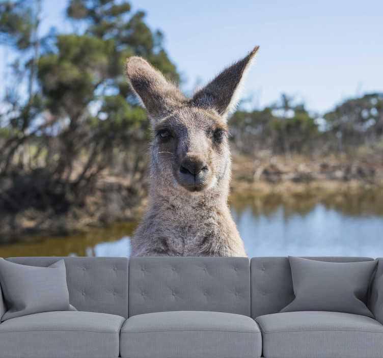 Animal wall mural kangaroo focus - TenStickers