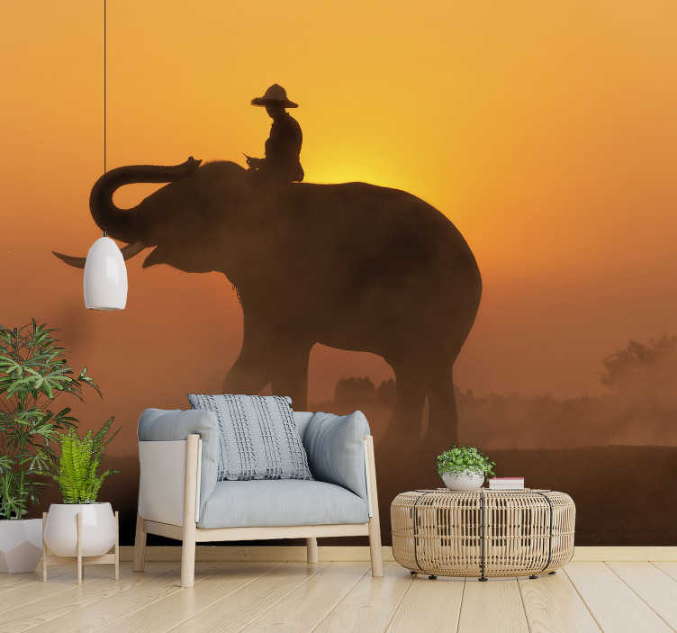 Asian Elephant at sunset mural wallpaper - TenStickers
