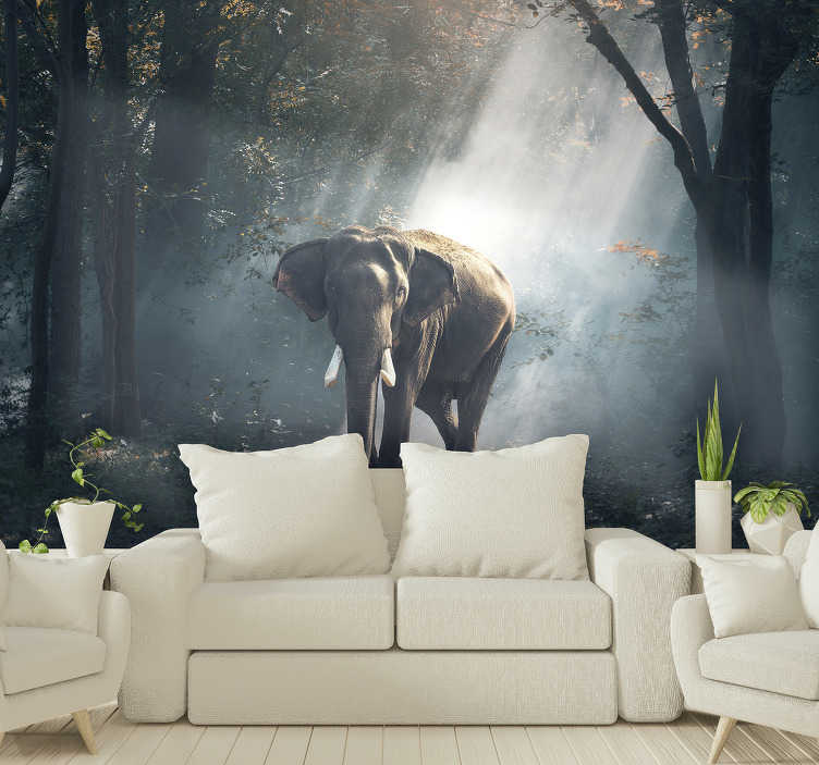 Elephant In Forest Wall Mural Tenstickers