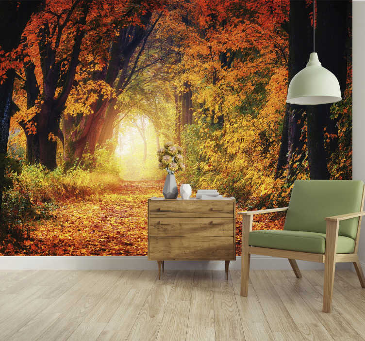 Fotomural floresta otoño - Murales de pared en vinilo y lienzo